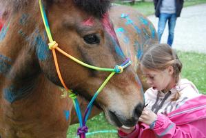 Silvia und das bunte Pferd