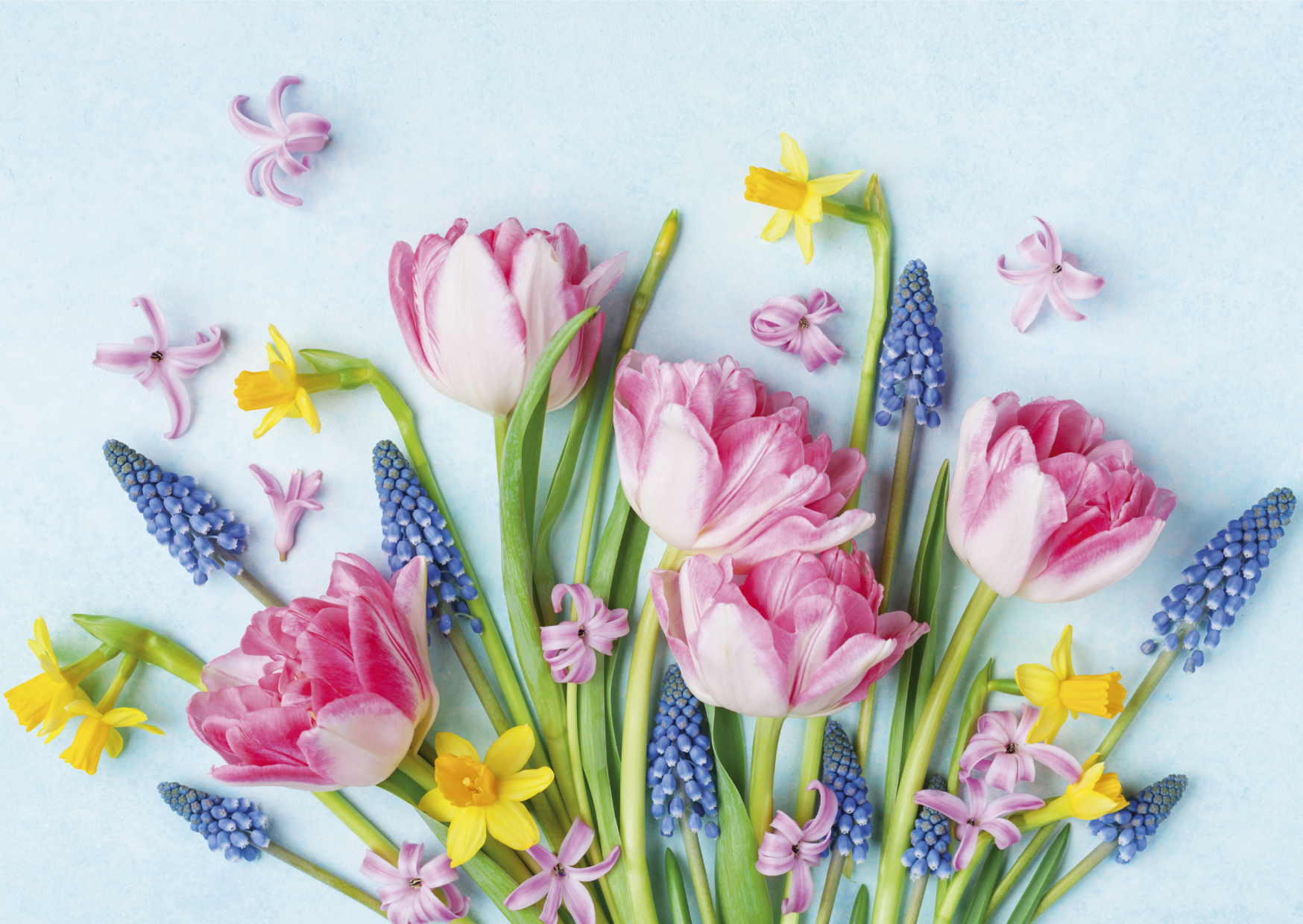 Glückwunschbilletts